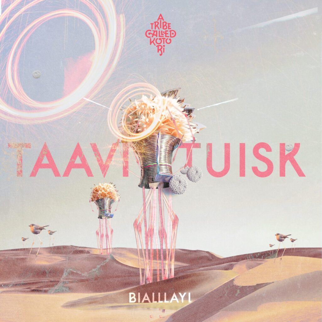 Cover artwork: Taavi Tuisk – Bialllayl (ATCK031) on Kotori Music